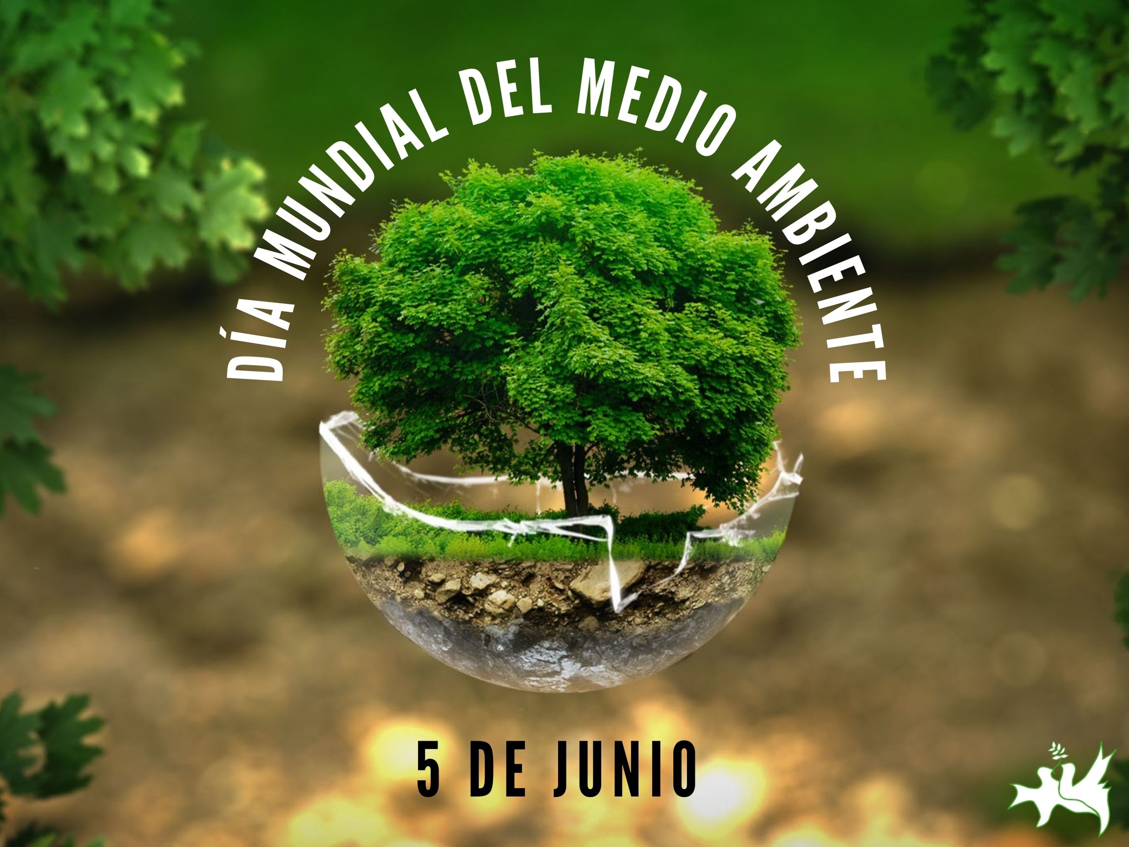Casco Derritiendo Vástago Día Mundial del Medio Ambiente – Peace and Cooperation