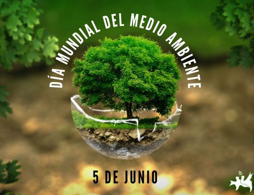 Día Mundial del Medio Ambiente