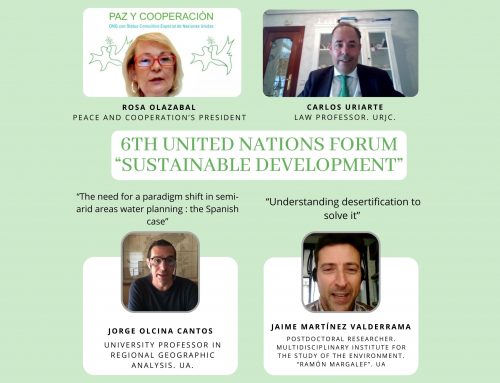 Peace and cooperation celebrates the 6th United Nations Forum online about sustainable development