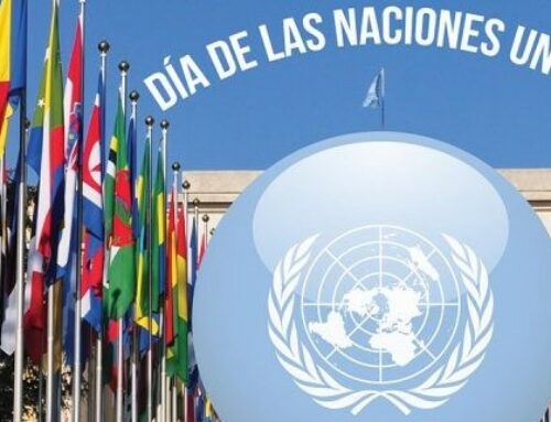 Peace and Cooperation holds a conference of the 8th United Nations Forum: 78th anniversary of its founding.